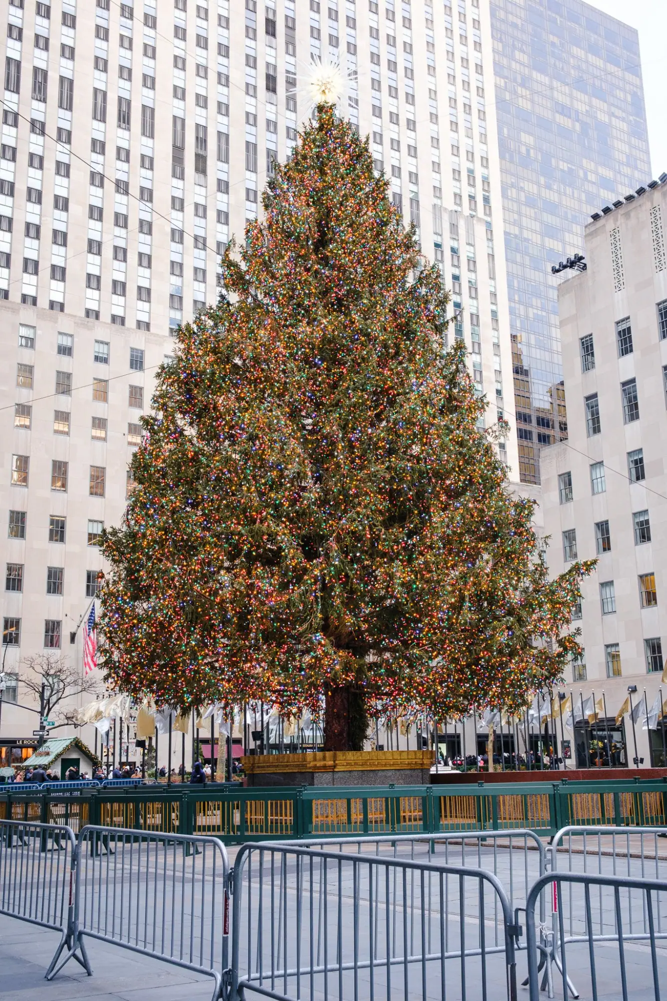Photo from Rockefeller Center & FAO Schwarz, New York, NY