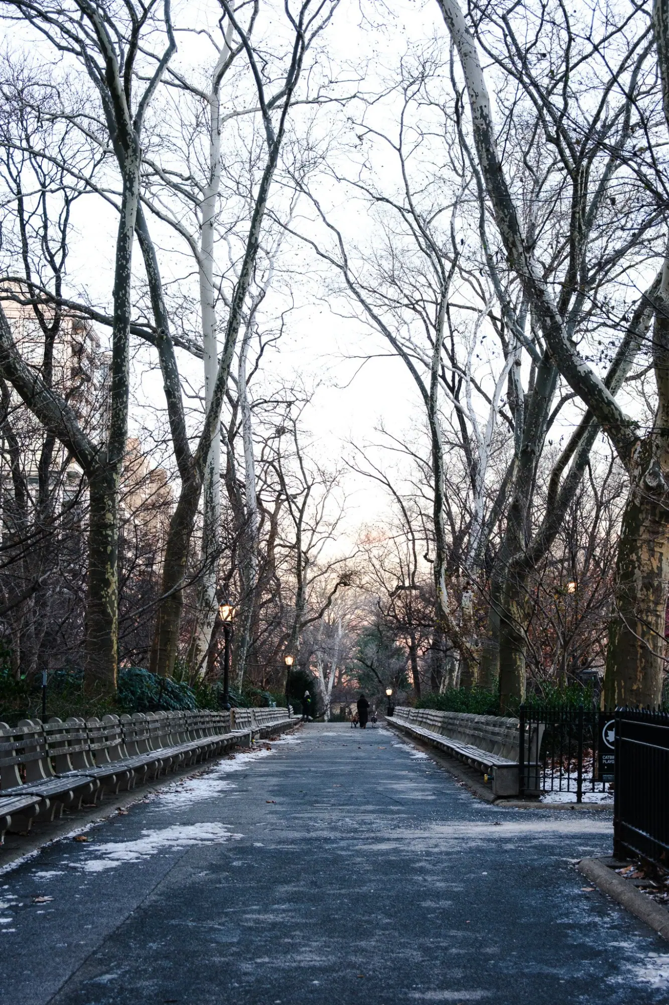 Photo from Upper East Side, Carl Schurz Park & Lunch, New York, NY