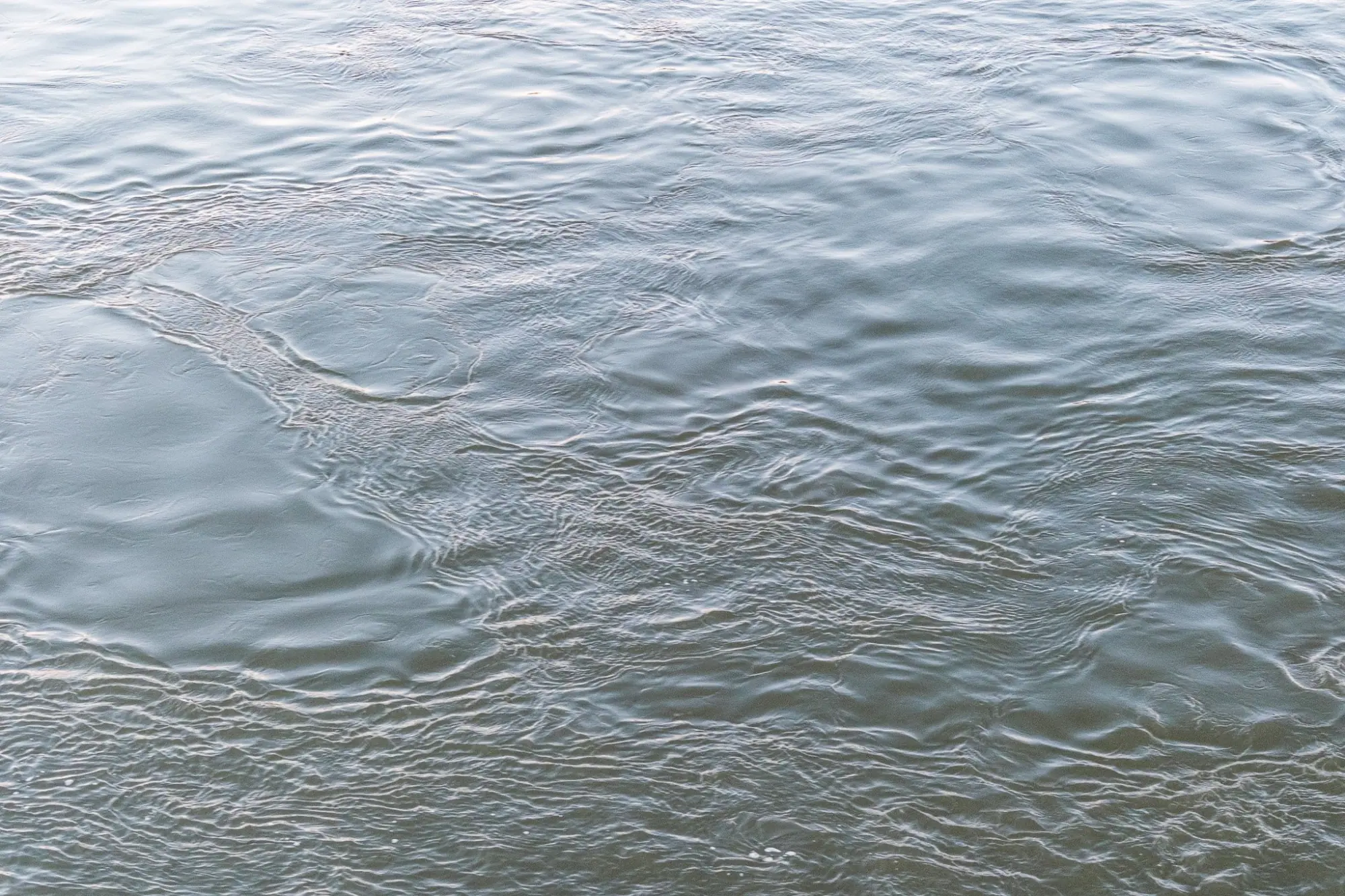 Photo from Upper East Side, Carl Schurz Park & Lunch, New York, NY