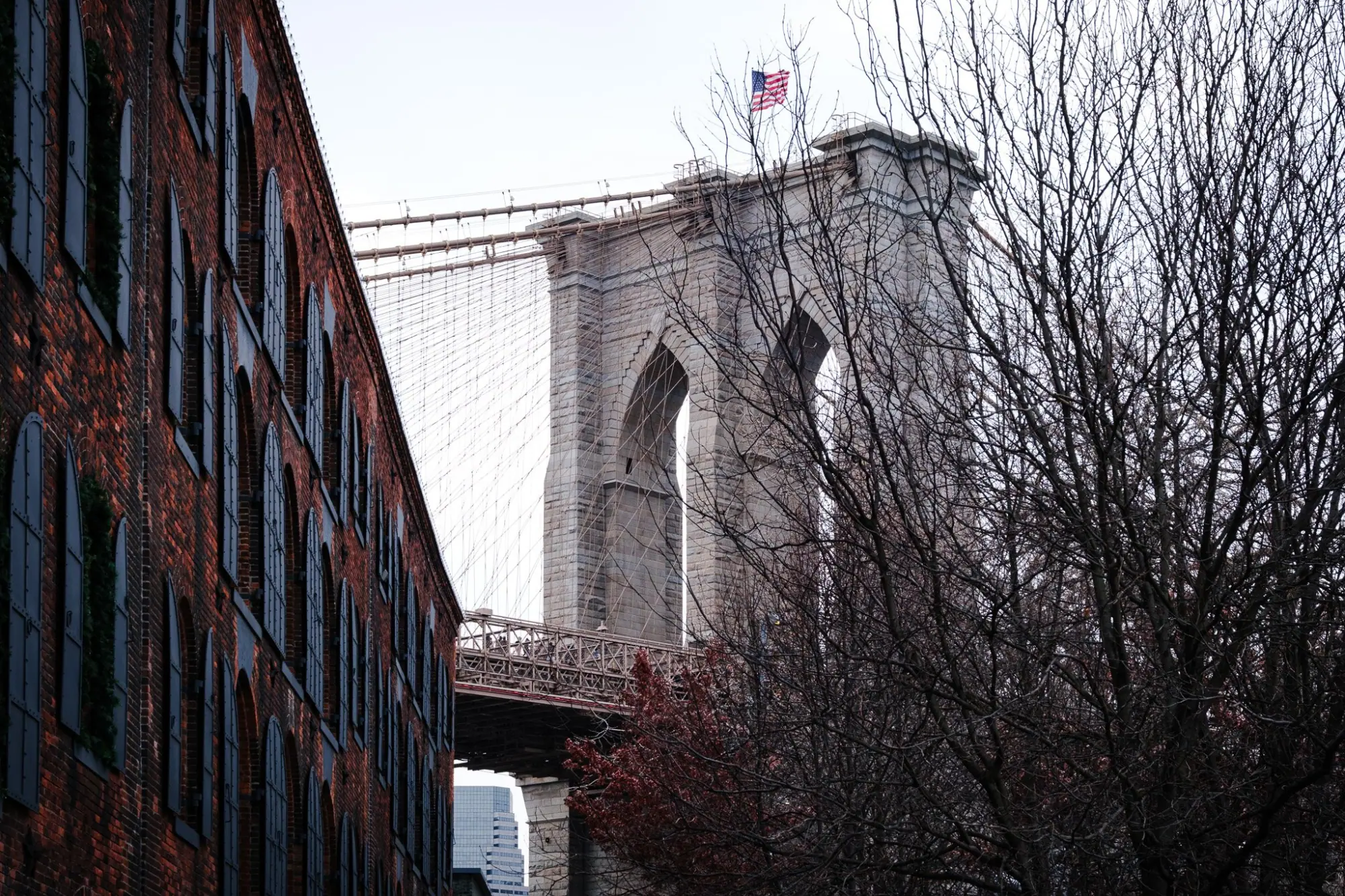 Photo from Brooklyn Day Trip: DUMBO, New York, NY