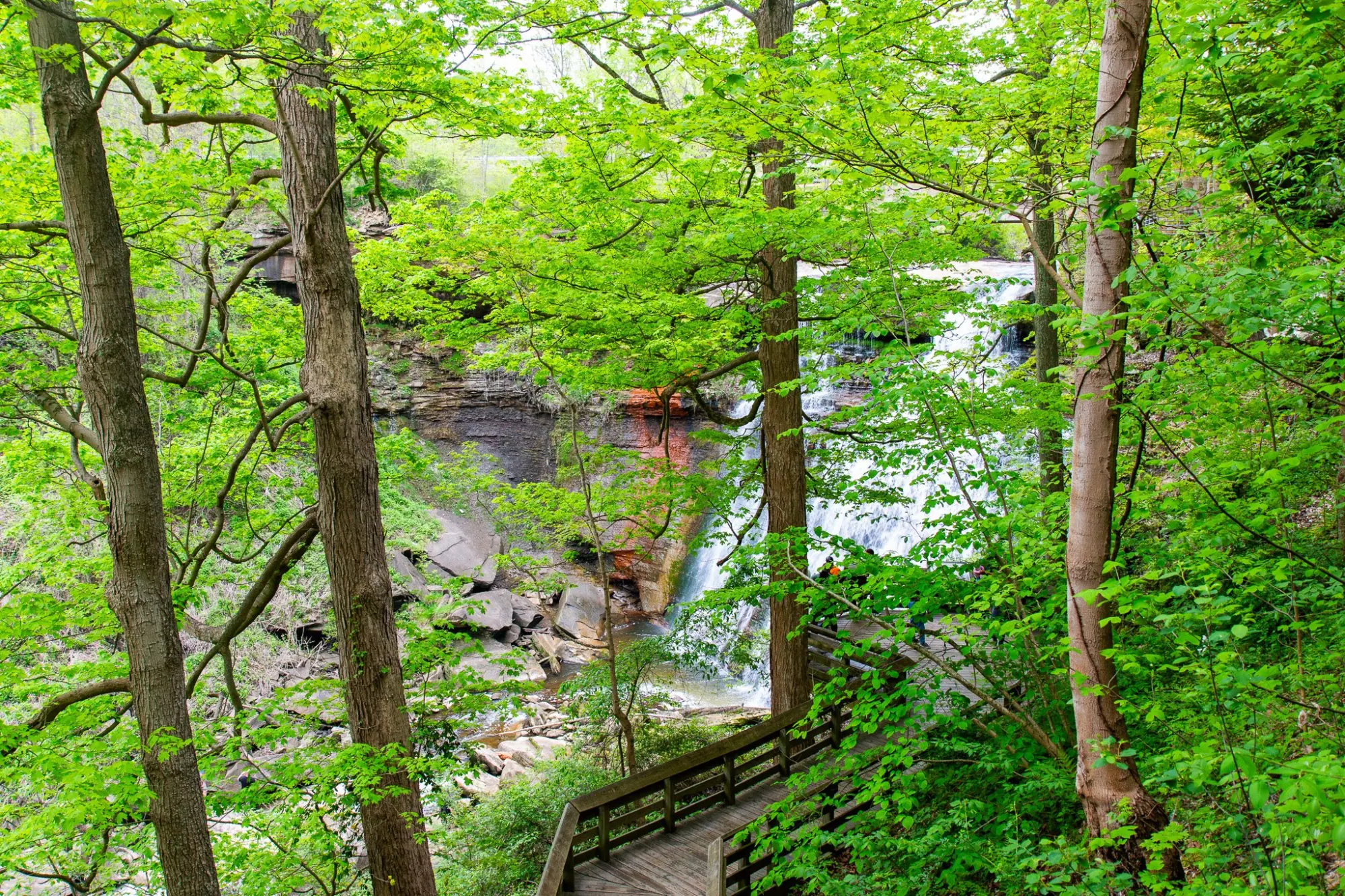 Photo from Nature beckoned at Cuyahoga National Park, where we marveled at majestic waterfalls and serene marshlands, Cleveland, OH