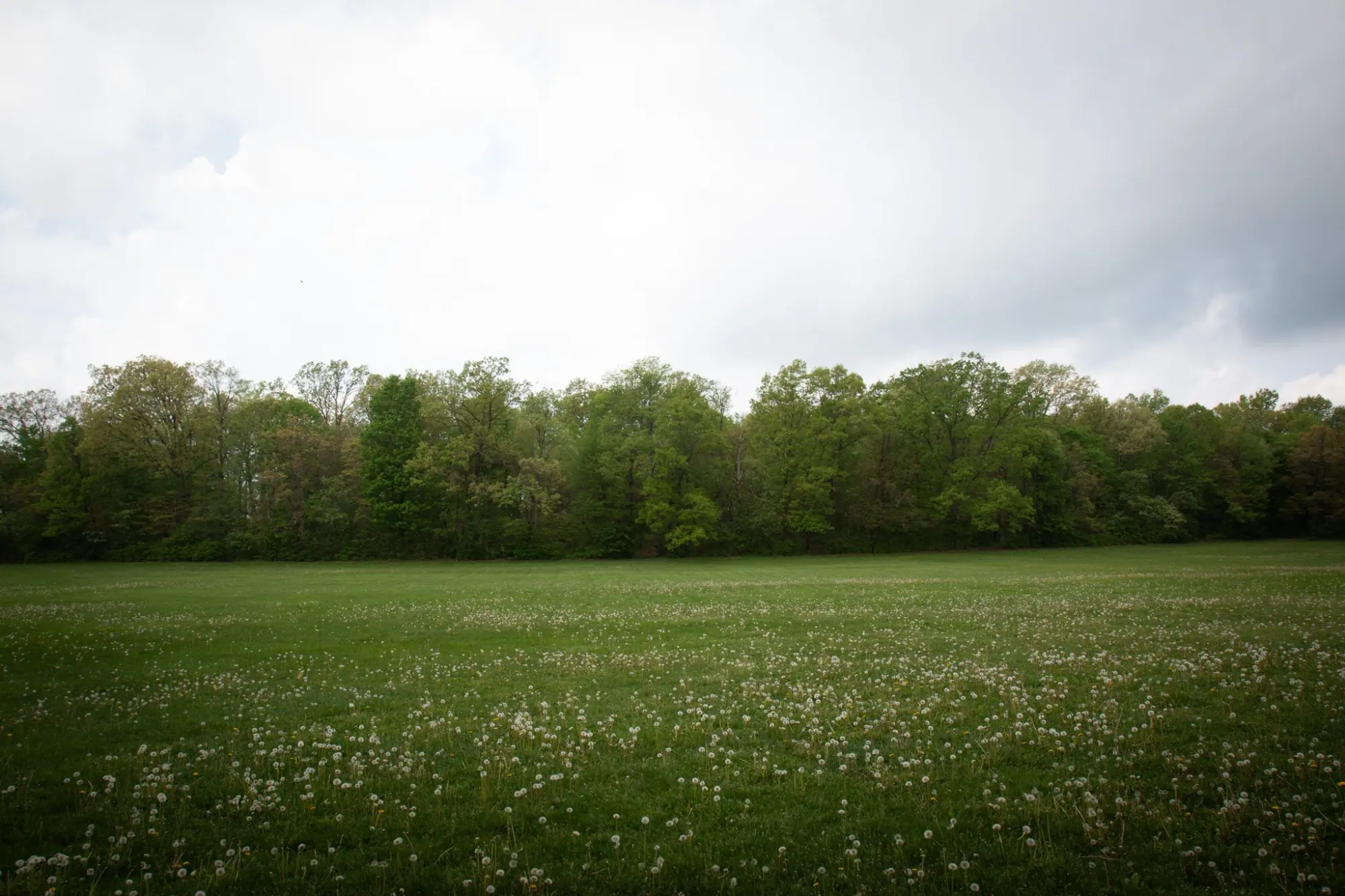 Photo from Nature beckoned at Cuyahoga National Park, where we marveled at majestic waterfalls and serene marshlands, Cleveland, OH