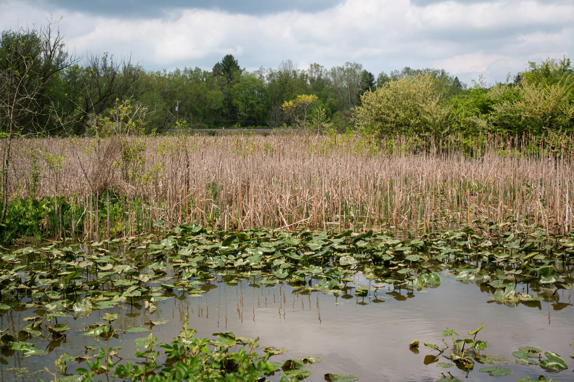 Photo from Nature beckoned at Cuyahoga National Park, where we marveled at majestic waterfalls and serene marshlands, Cleveland, OH