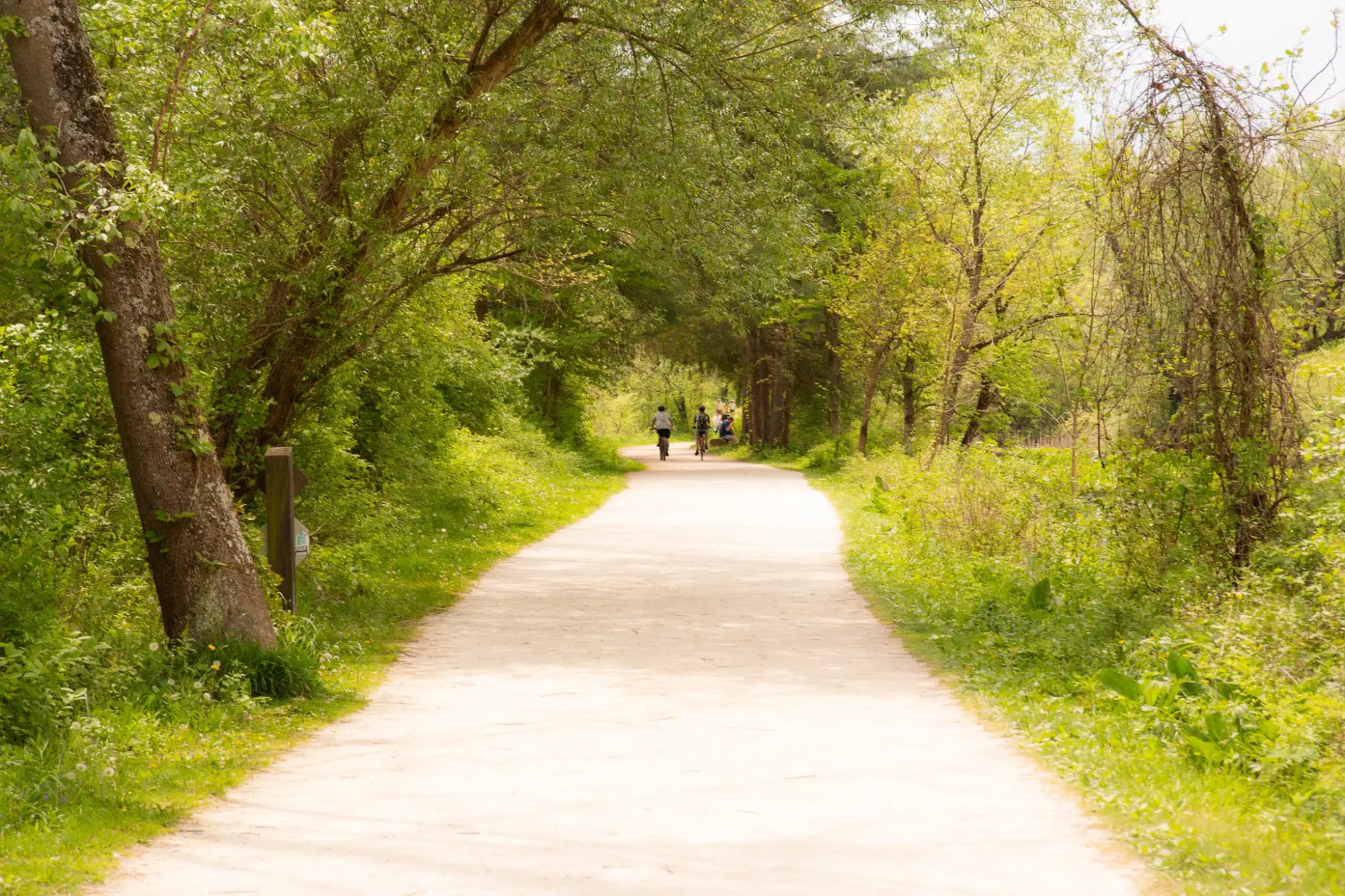 Photo from Nature beckoned at Cuyahoga National Park, where we marveled at majestic waterfalls and serene marshlands, Cleveland, OH