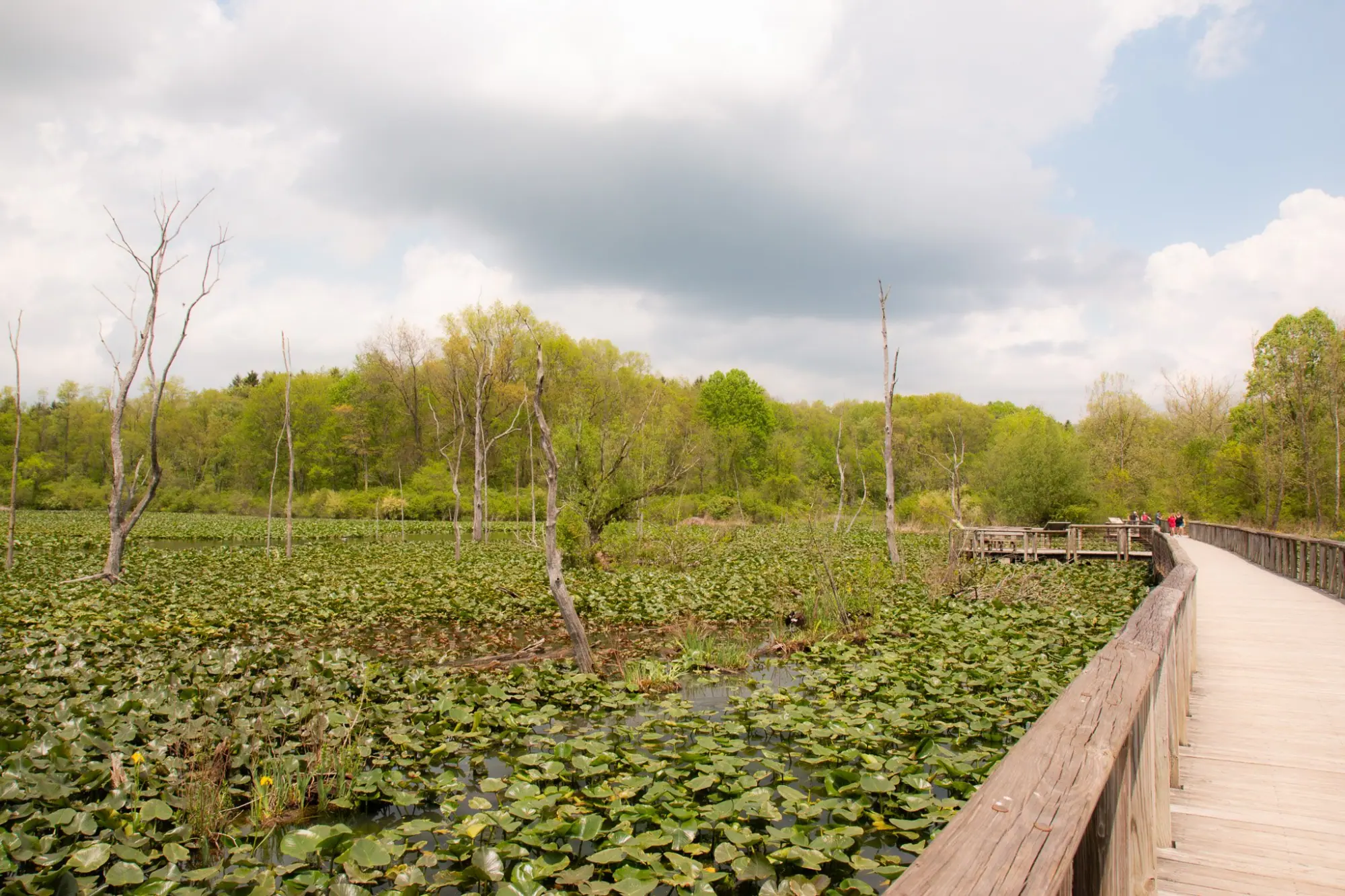 Photo from Nature beckoned at Cuyahoga National Park, where we marveled at majestic waterfalls and serene marshlands, Cleveland, OH