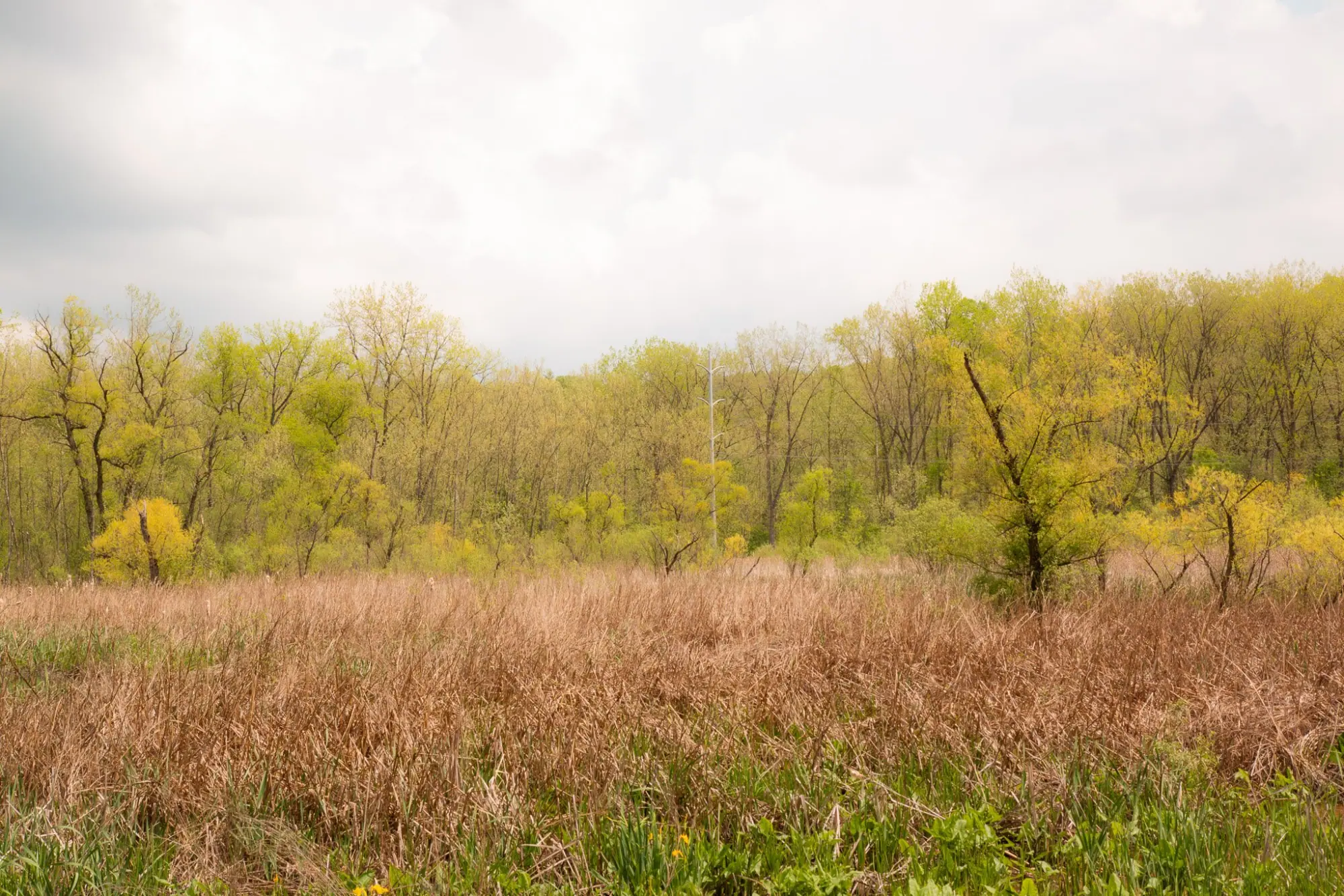 Photo from Nature beckoned at Cuyahoga National Park, where we marveled at majestic waterfalls and serene marshlands, Cleveland, OH