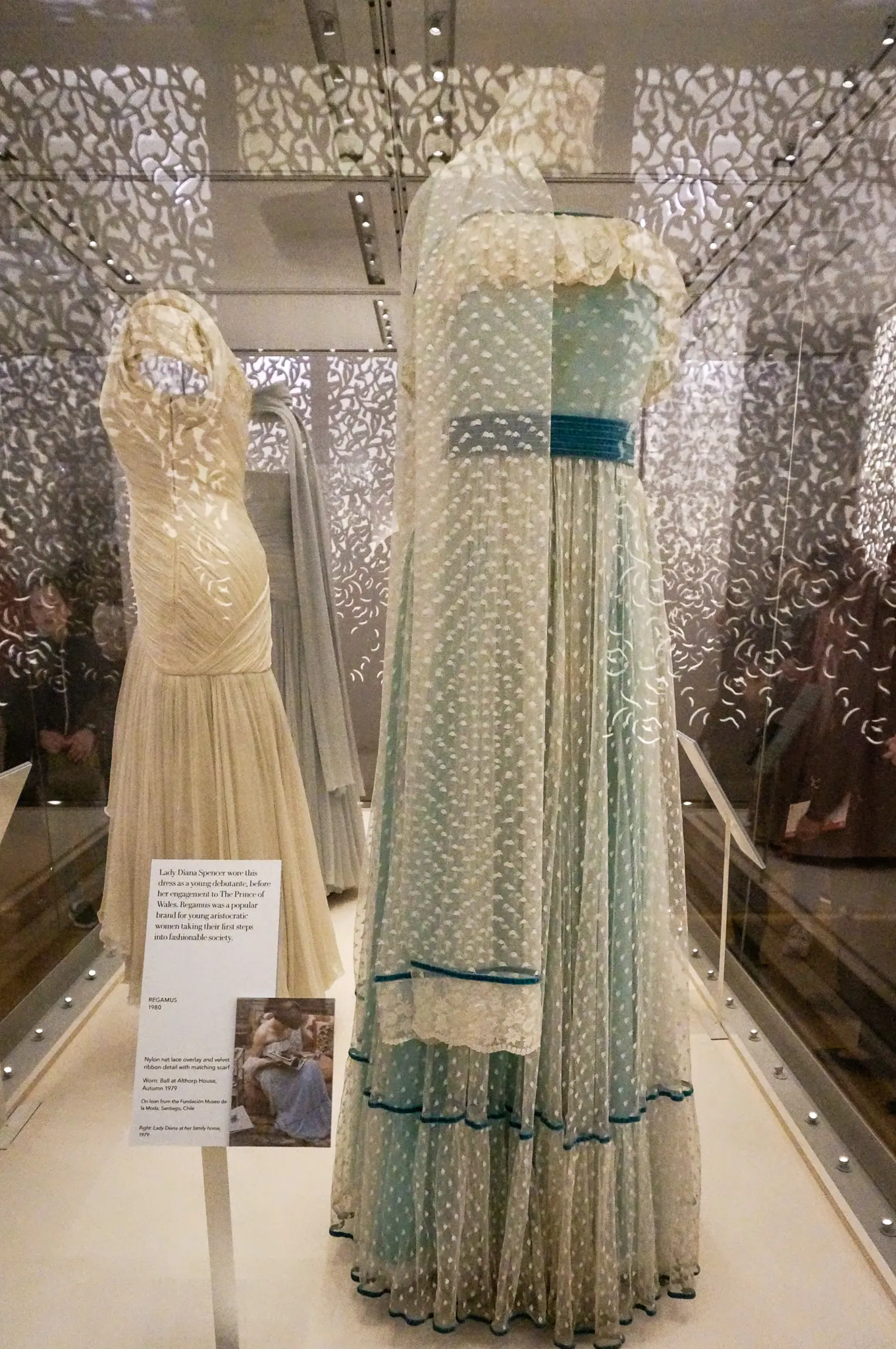 Two of Diana's gowns in a case