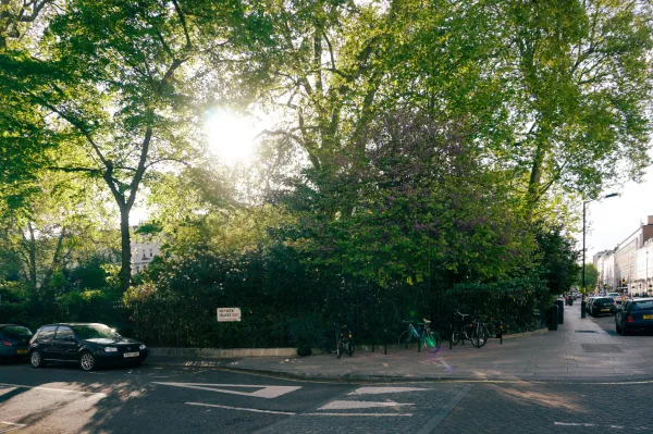 Sun through trees over a railed garden square