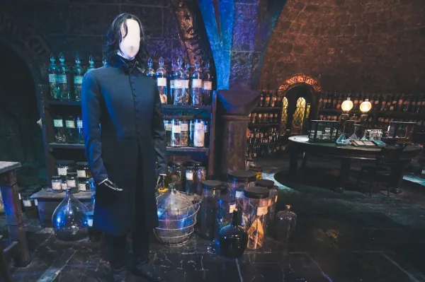 Snape costume in the potions classroom