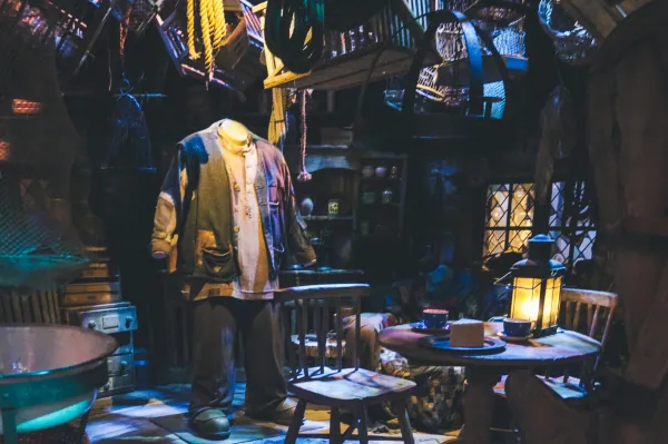 Hagrid's hut set with costume
