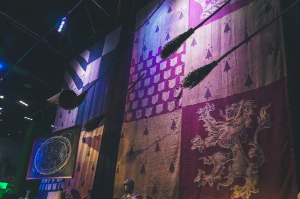 House banners and broomsticks