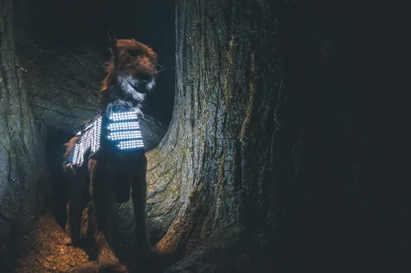 Buckbeak in the Forbidden Forest set