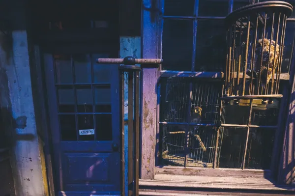 Owl emporium cages, Diagon Alley set