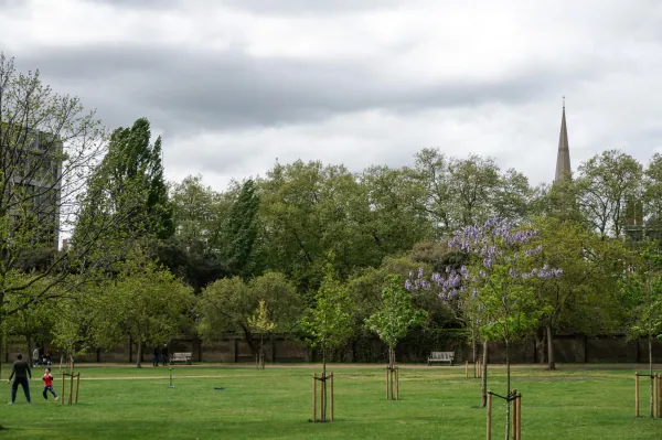Lawn and trees with a church spire beyond