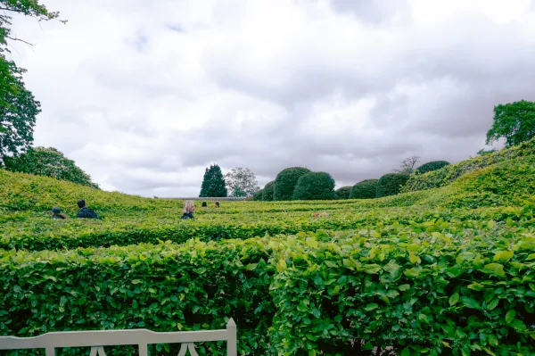 Clipped hedges under a cloudy sky