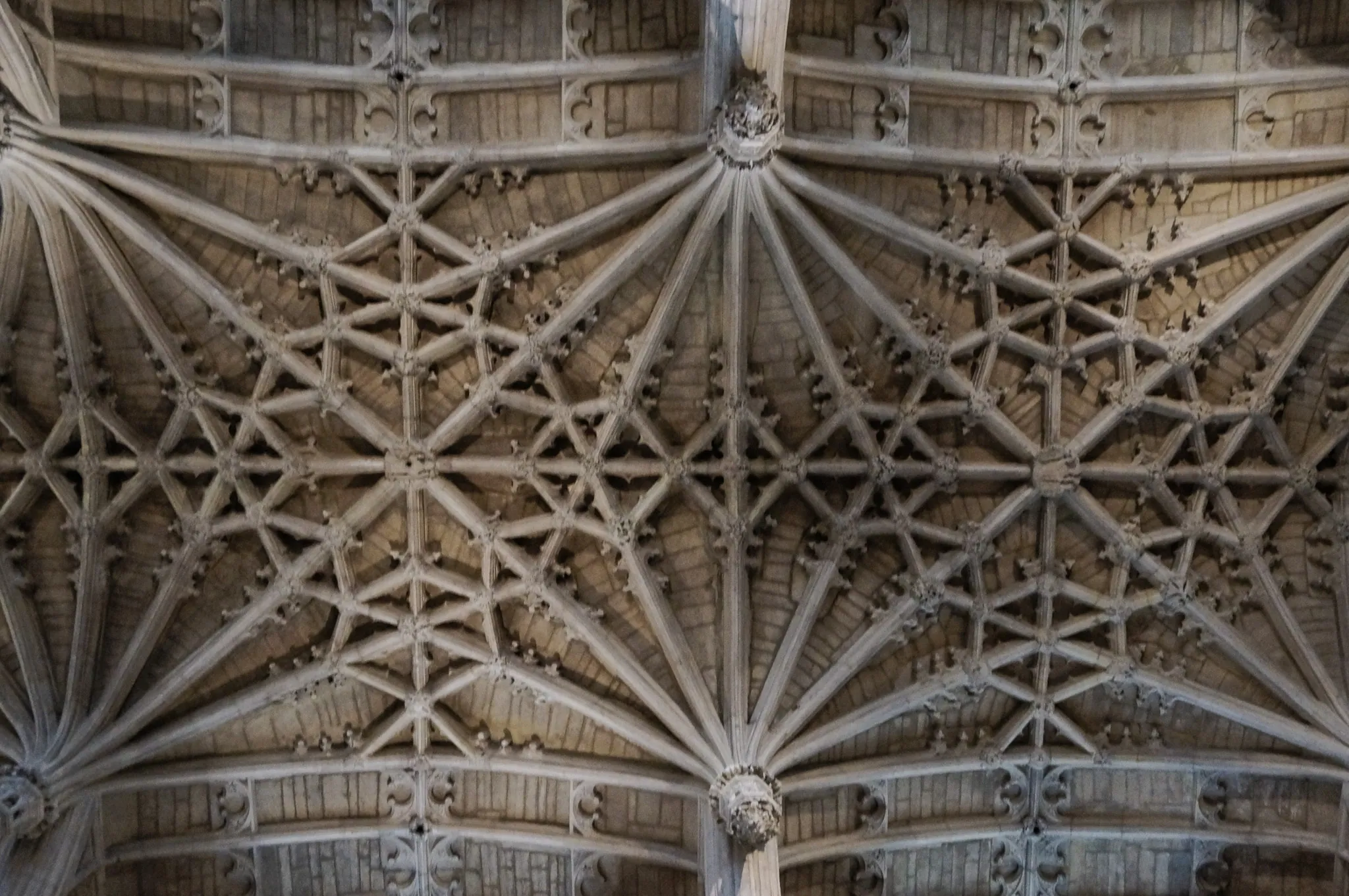 Star-vaulted choir ceiling