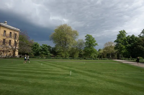 Lawn and trees beside New Building