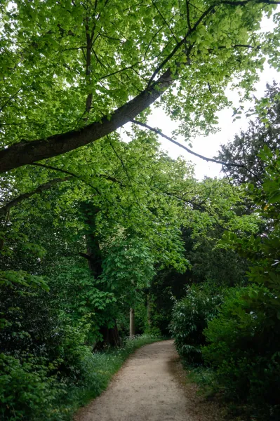 Leafy riverside footpath