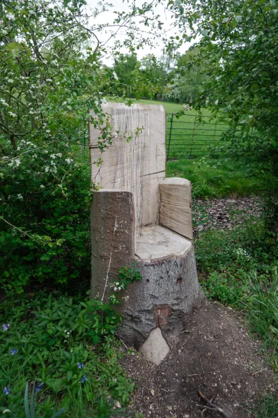 Chair carved from a tree stump