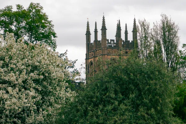 Pinnacled tower above blossoming trees