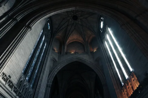 Looking up at the vaulting