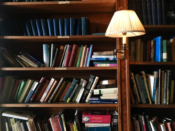 Library shelves with a lamp