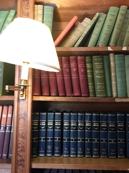 Bound volumes on library shelves