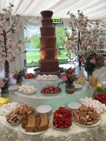 Chocolate fountain with fruit