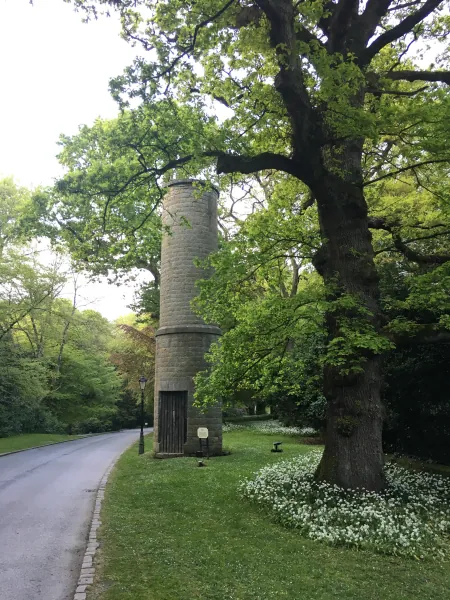 Driveway with old tower and oak