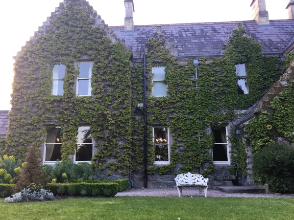 Ivy-covered house with garden bench