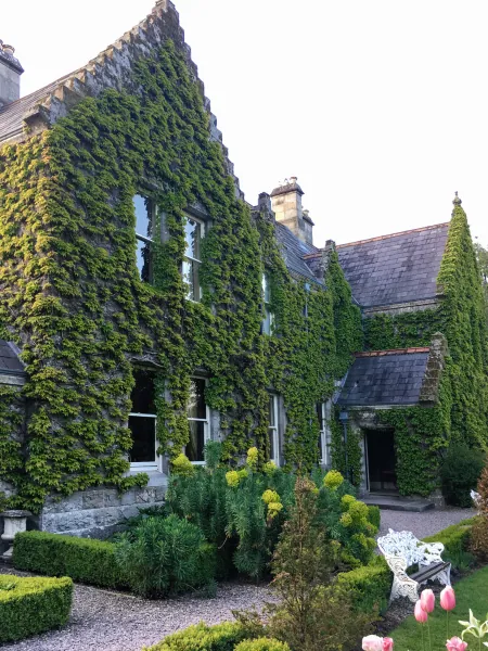 Ivy-covered gable and garden
