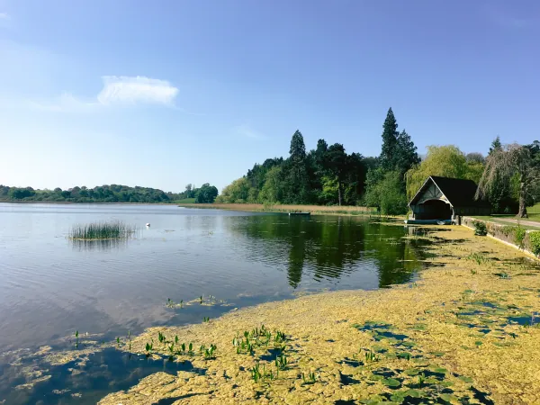 Lake with boathouse