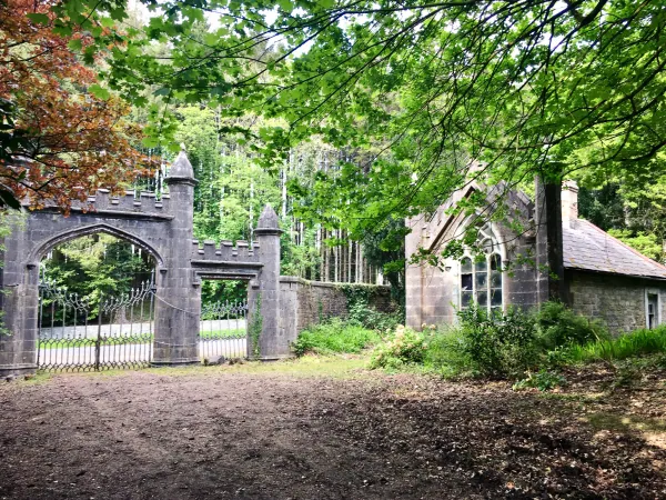 Gothic gateway in woods