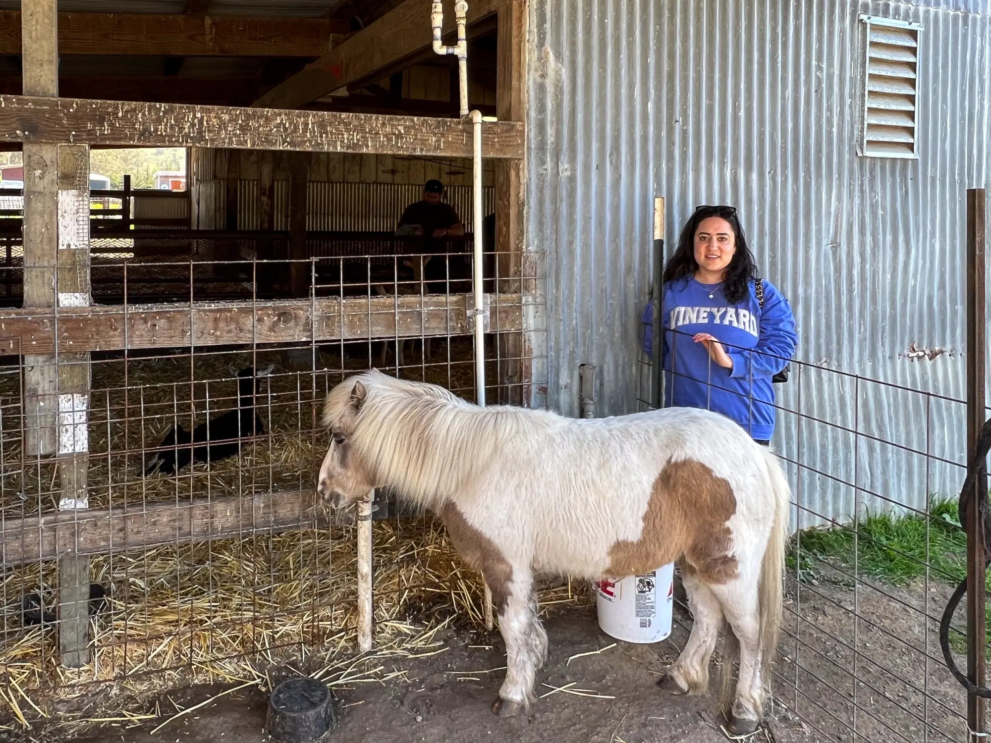 Photo from Our next stop was Harley Farms Goat Dairy, where we couldn't resist petting the adorable baby goats and…, Carmel & Monterey, CA