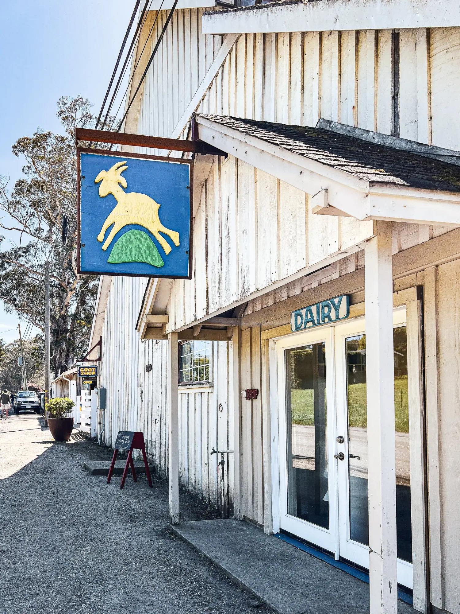 Photo from Our next stop was Harley Farms Goat Dairy, where we couldn't resist petting the adorable baby goats and…, Carmel & Monterey, CA