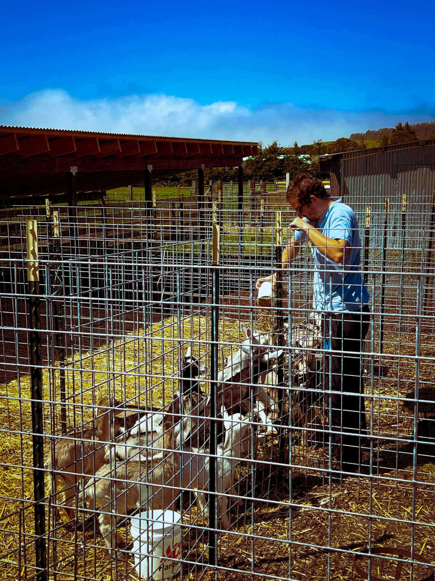 Photo from Our next stop was Harley Farms Goat Dairy, where we couldn't resist petting the adorable baby goats and…, Carmel & Monterey, CA