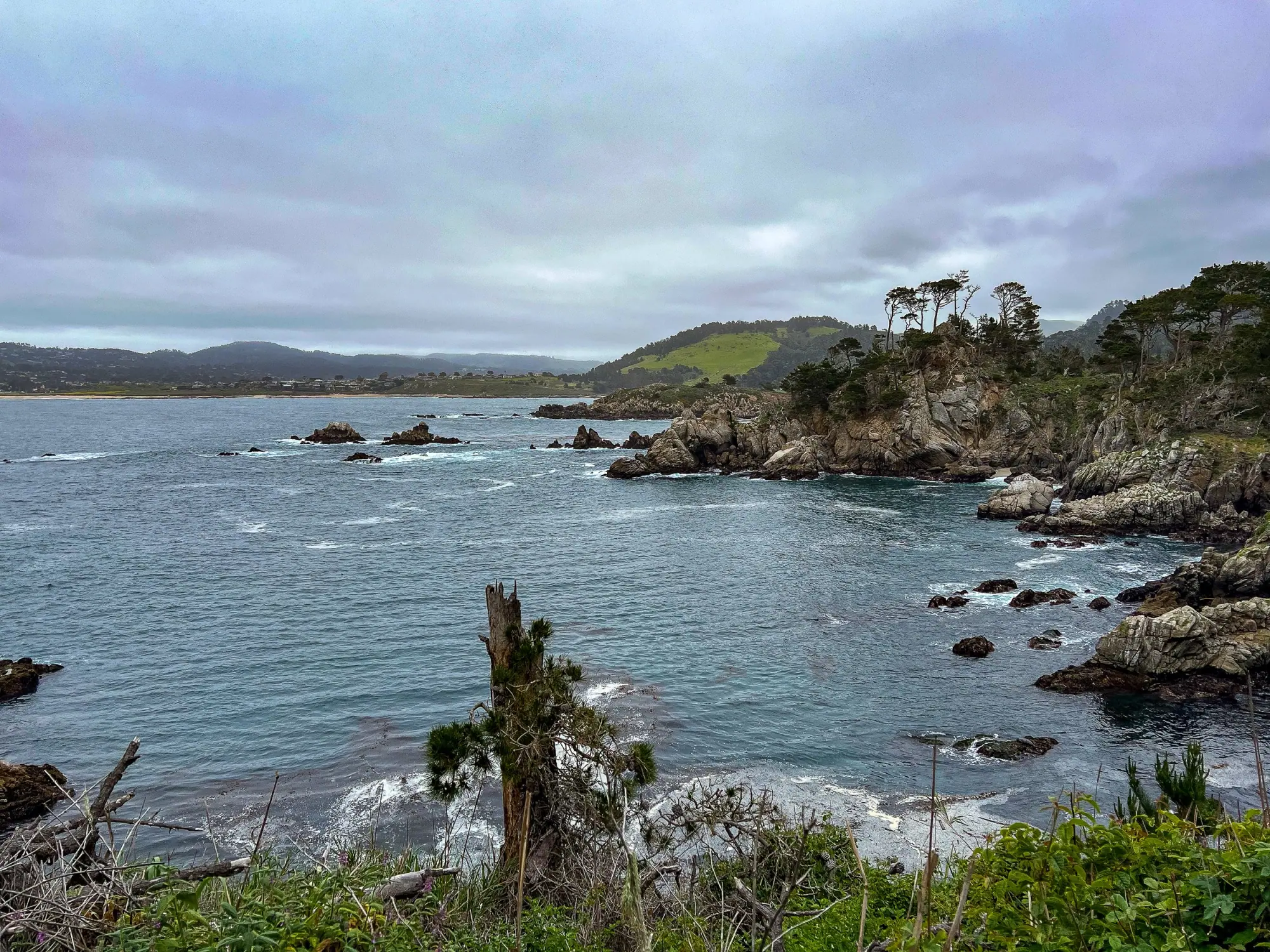 Photo from The following day, we explored Point Lobos State Reserve, soaking in the natural beauty of the coastal…, Carmel & Monterey, CA