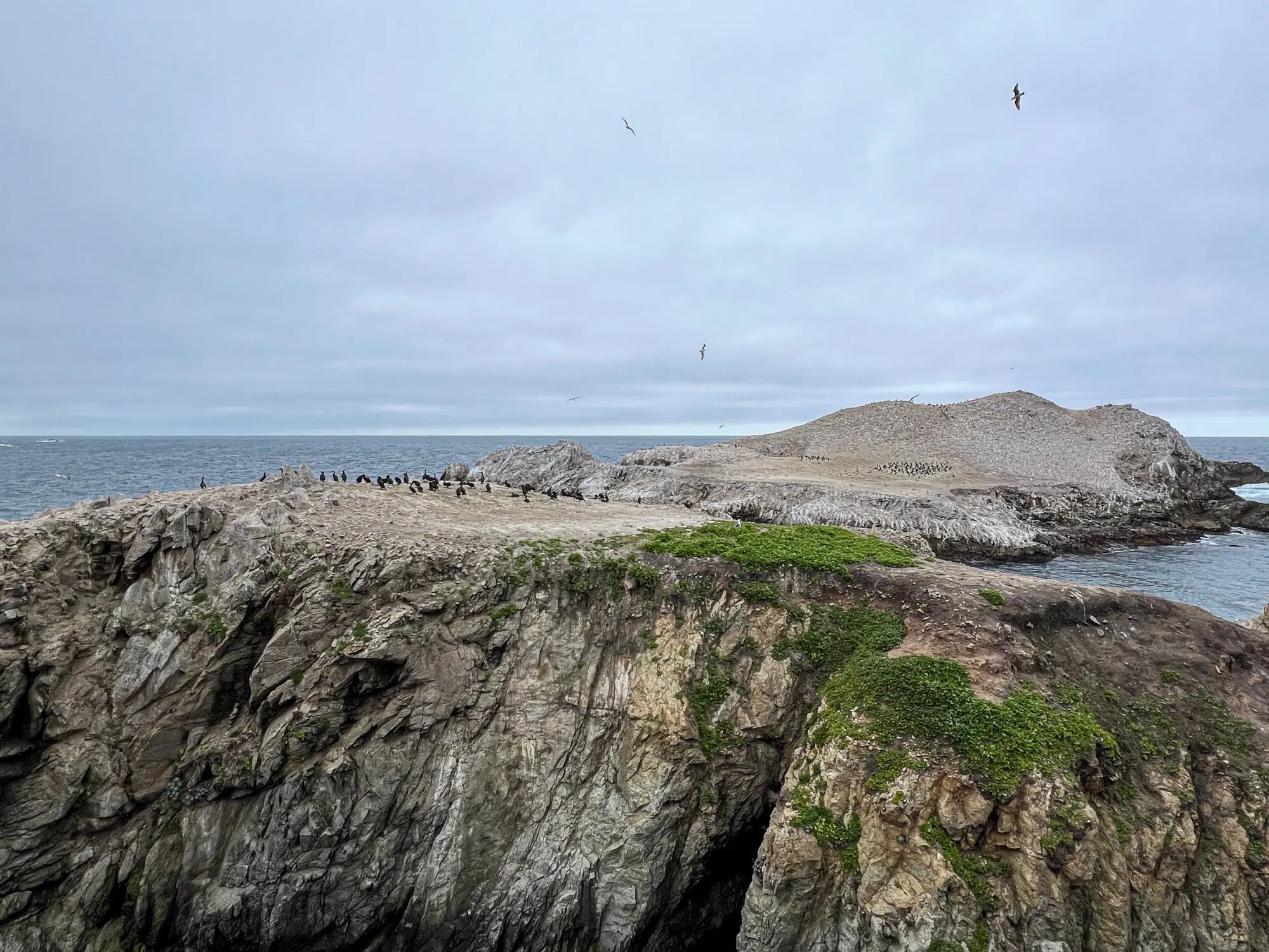 Photo from The following day, we explored Point Lobos State Reserve, soaking in the natural beauty of the coastal…, Carmel & Monterey, CA