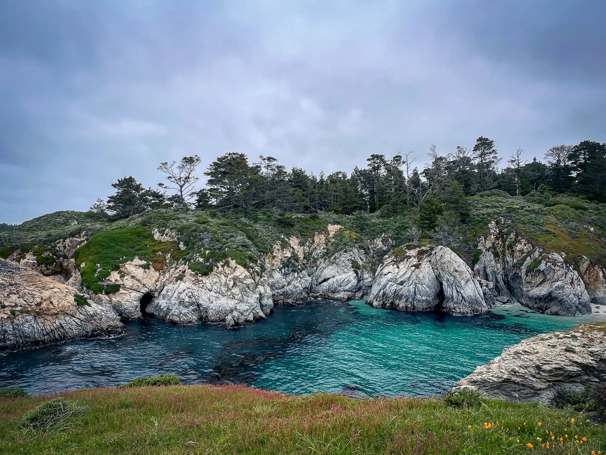 Photo from The following day, we explored Point Lobos State Reserve, soaking in the natural beauty of the coastal…, Carmel & Monterey, CA