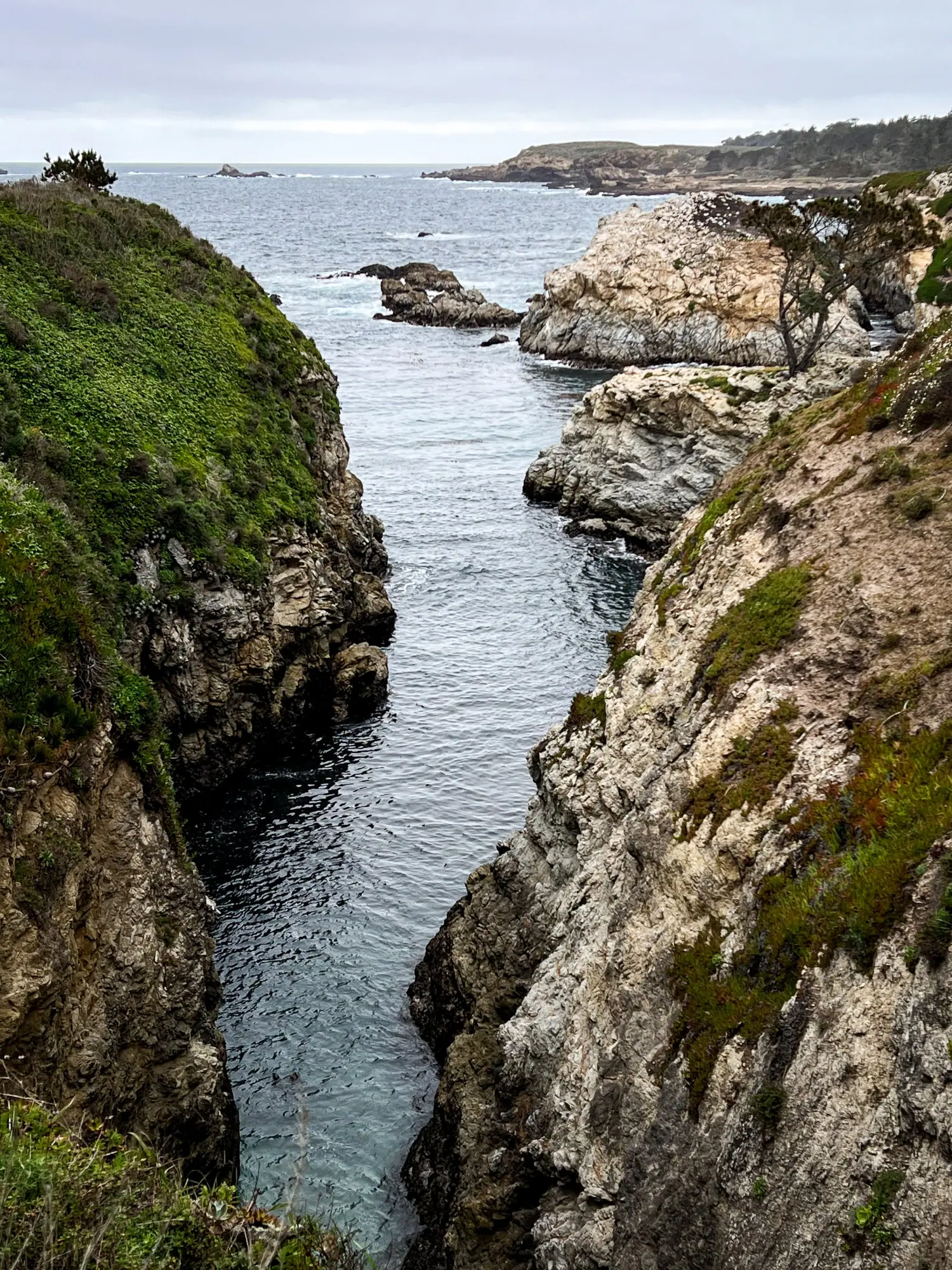 Photo from The following day, we explored Point Lobos State Reserve, soaking in the natural beauty of the coastal…, Carmel & Monterey, CA