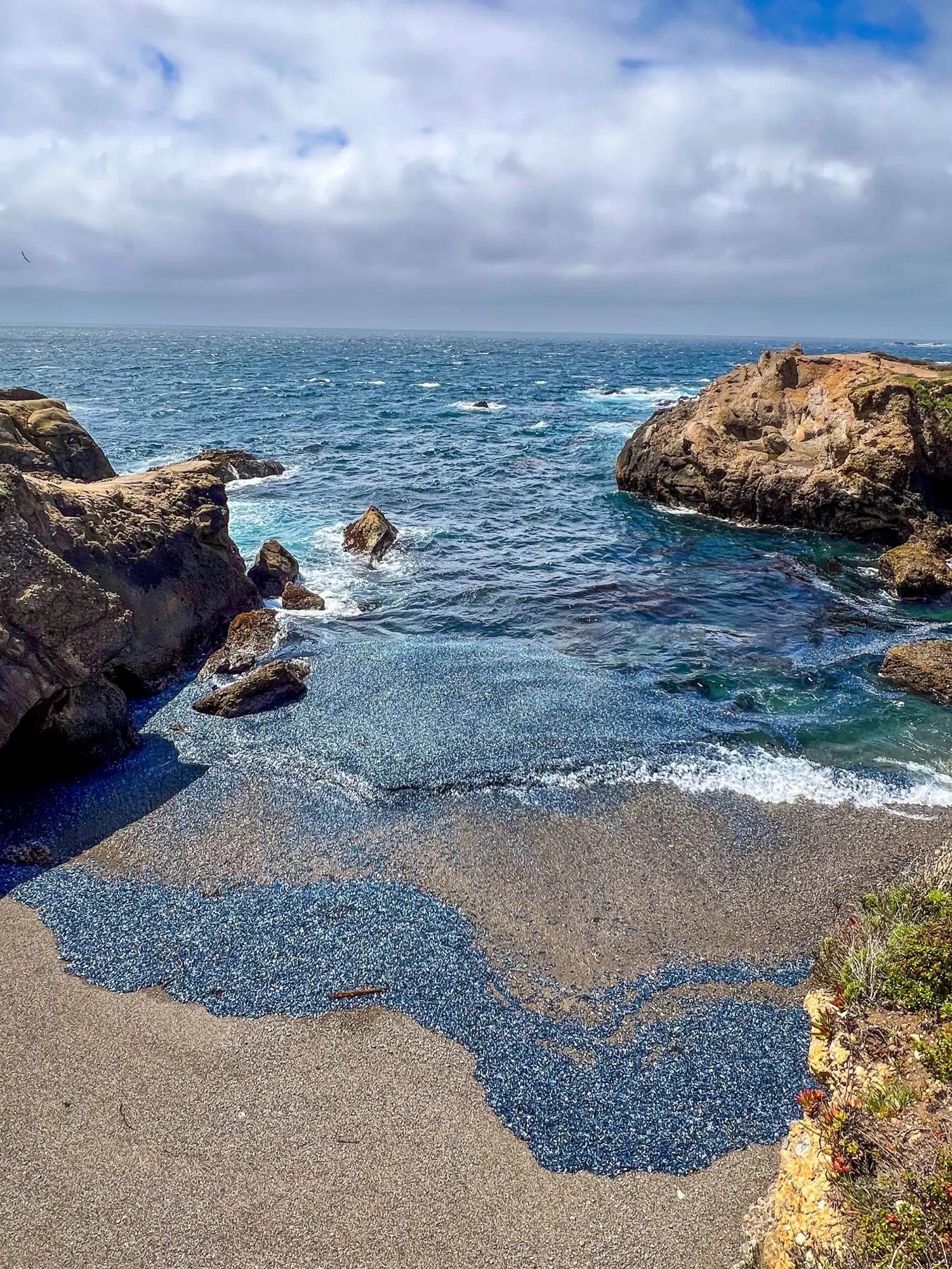 Photo from The following day, we explored Point Lobos State Reserve, soaking in the natural beauty of the coastal…, Carmel & Monterey, CA