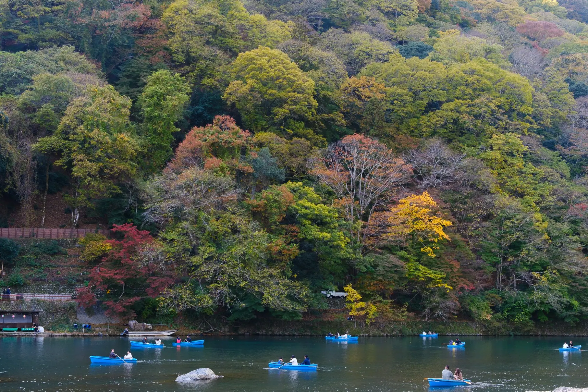 Photo from Arashiyama Bamboo Forest, Kyoto, Japan