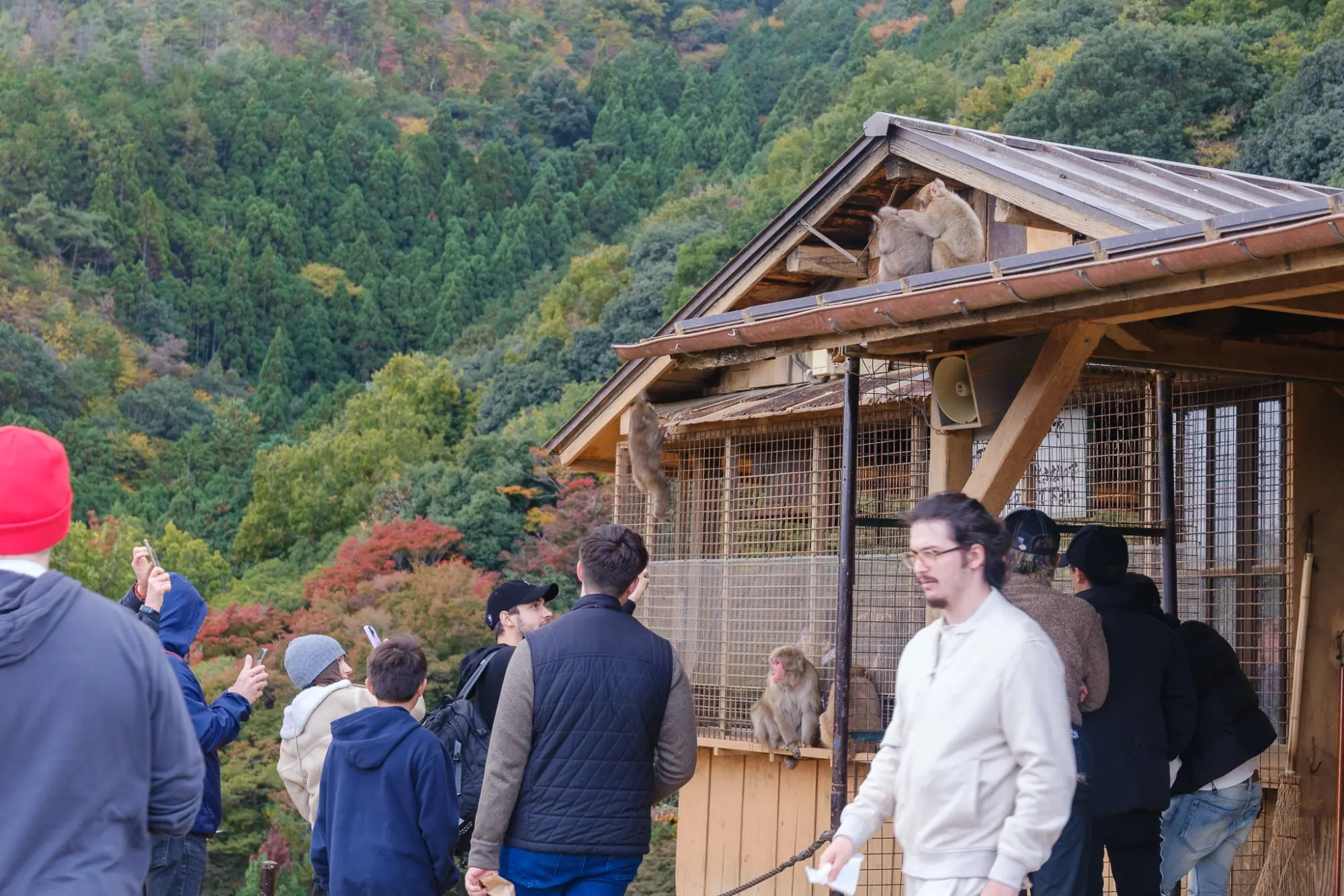 Photo from Togetsukyō Bridge and Arashiyama Monkey Park, Kyoto, Japan
