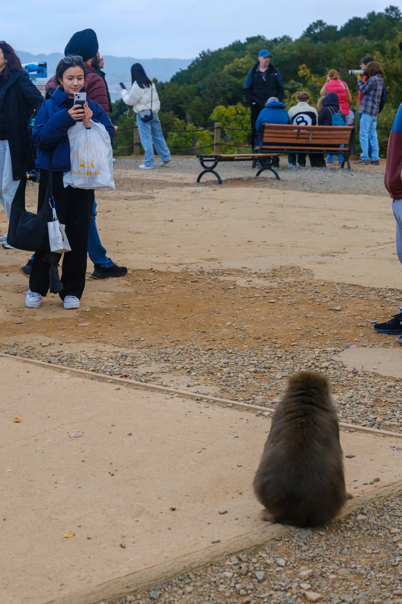 Photo from Togetsukyō Bridge and Arashiyama Monkey Park, Kyoto, Japan
