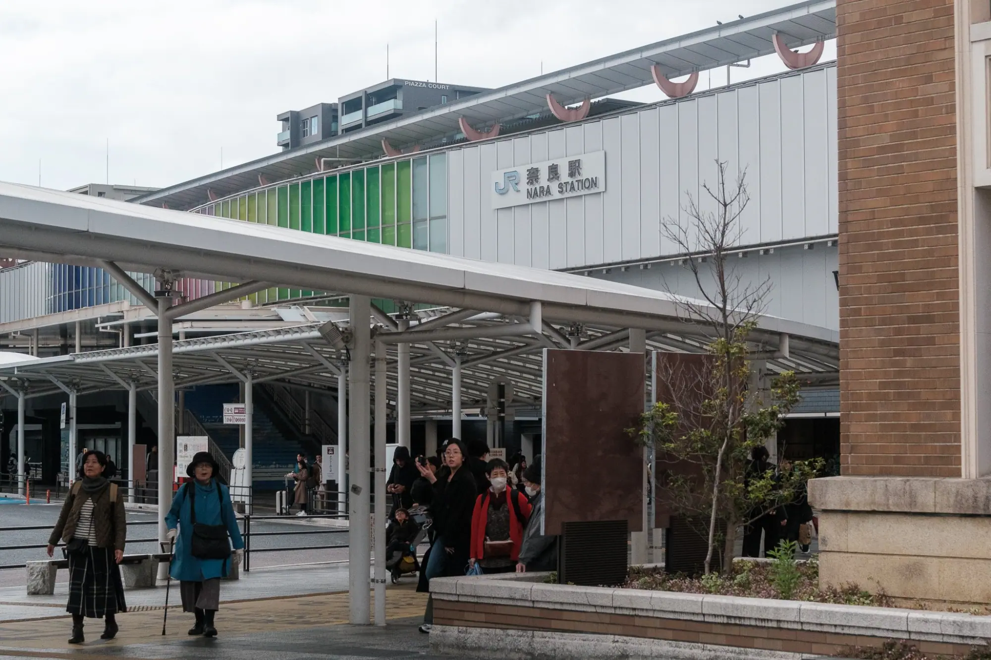 Photo from Day 11: A Day Trip to Nara – Temples, Bowing Deer, and Michelin-Starred Delights, Kyoto, Japan
