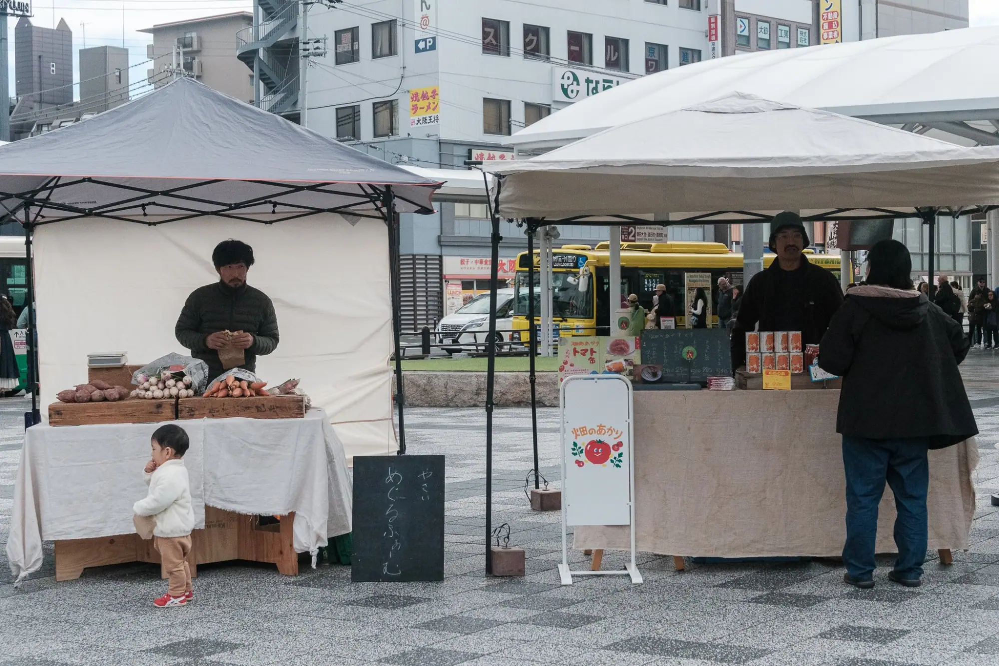 Photo from Day 11: A Day Trip to Nara – Temples, Bowing Deer, and Michelin-Starred Delights, Kyoto, Japan