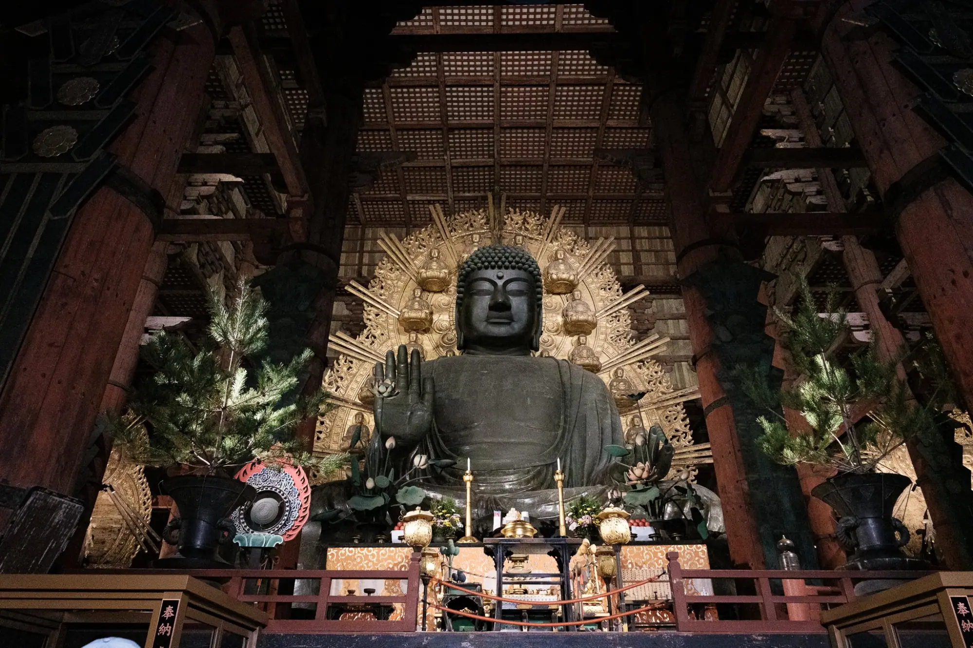 Photo from Todai-ji Temple: A Monument to Japanese History, Kyoto, Japan