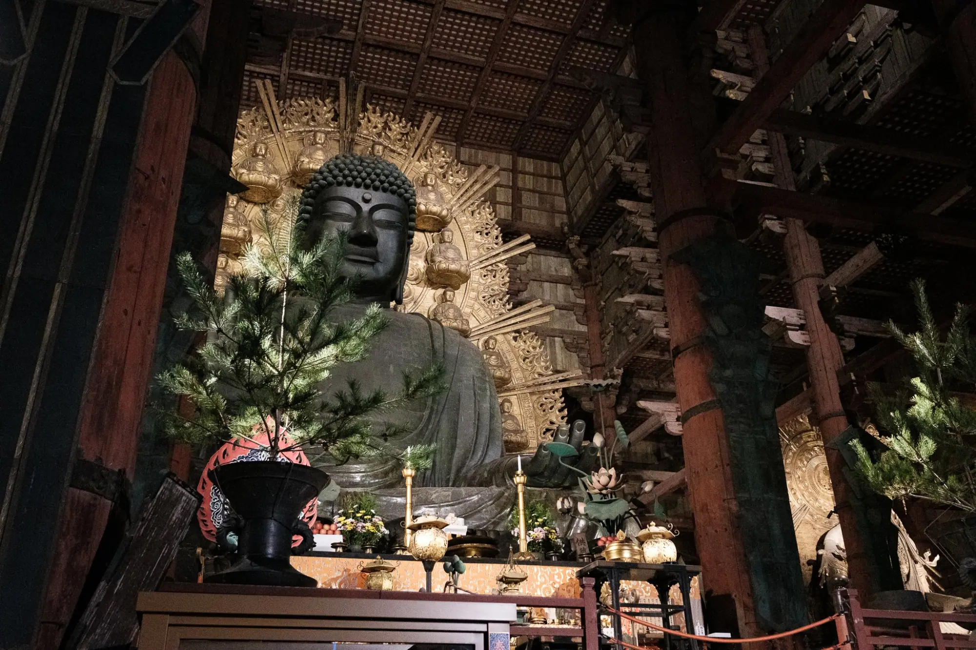 Photo from Todai-ji Temple: A Monument to Japanese History, Kyoto, Japan