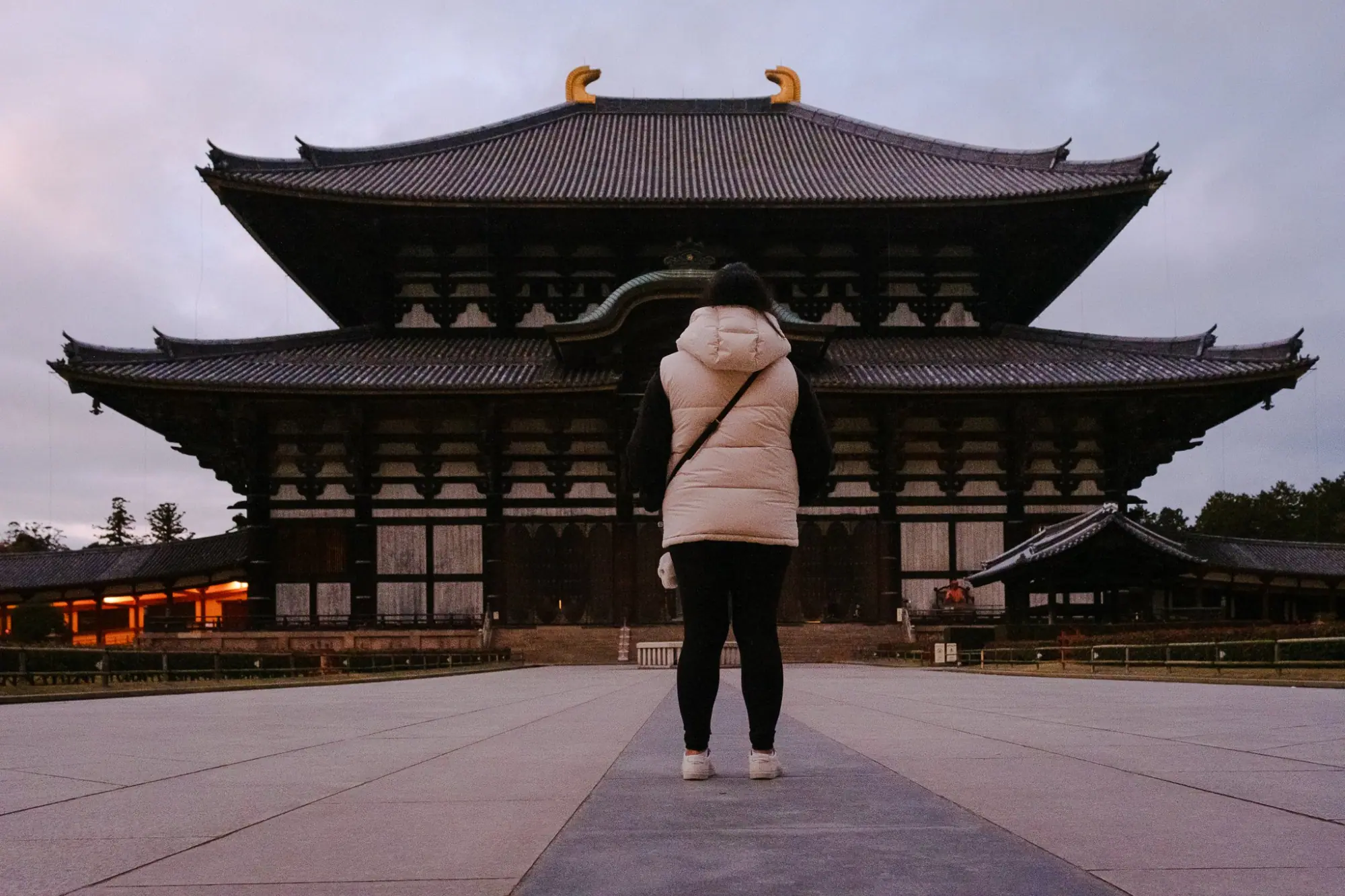 Photo from Todai-ji Temple: A Monument to Japanese History, Kyoto, Japan
