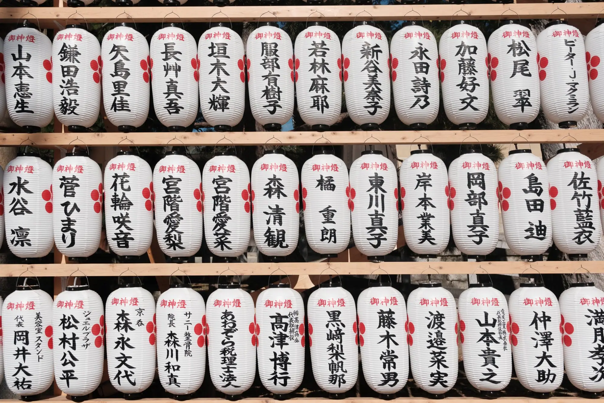Photo from Tōji Temple Flea Market, Kyoto, Japan